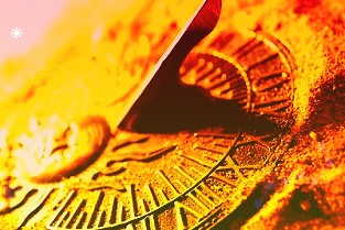 守护绿水青山,奔赴美好未来——华夏银行2023密云生态马拉松开跑