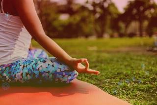 超声波让动物陷入“可控长眠”